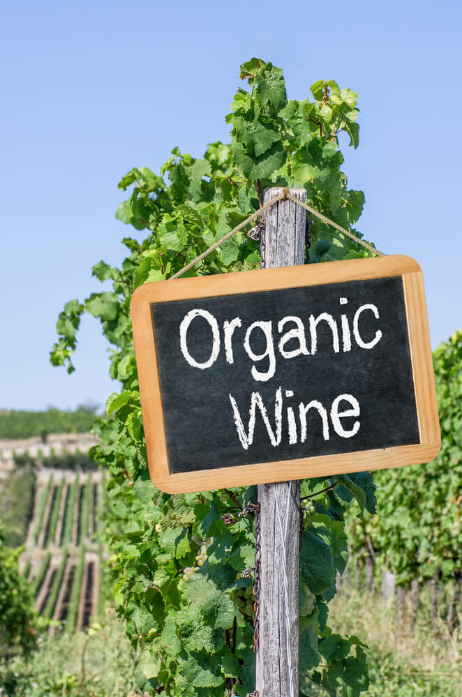 Proč organické nebo biodynamické víno? V čem se liší od běžného vína?