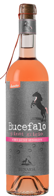 Bucefalo Pinot Grigio Vino da Uve Appassite Lunaria BIO Demeter Bucefalo Pinot Grigio Vino da Uve Appassite Lunaria BIO Demeter