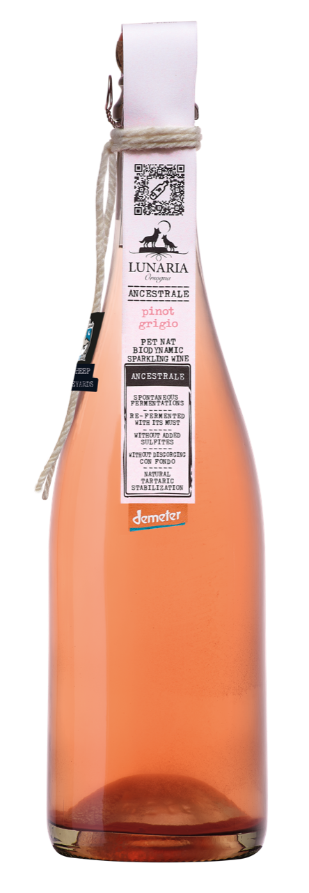PET-NAT Ancestrale Pinot grigio Brut Nature Lunaria BIO Demeter